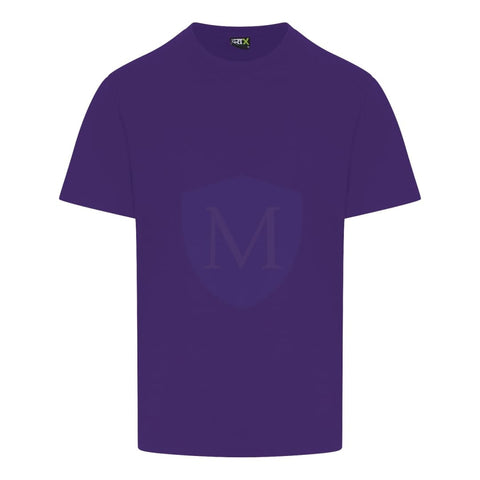 Pro Workwear T-shirt (rx151)