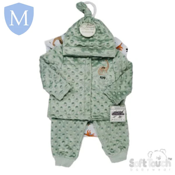 Dinosaur 4-Piece Popcorn Garment Set - Sage Green (BG320) (Baby Boys Gift Set) Mansuri