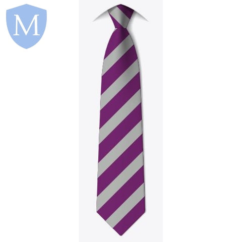 Washwood Heath Academy Clip On Tie - Seacol (Silver) Mansuri