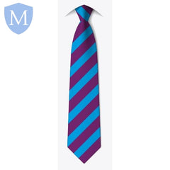 Washwood Heath Academy Long Tie - Farah Sky (52" Long Tie) Mansuri